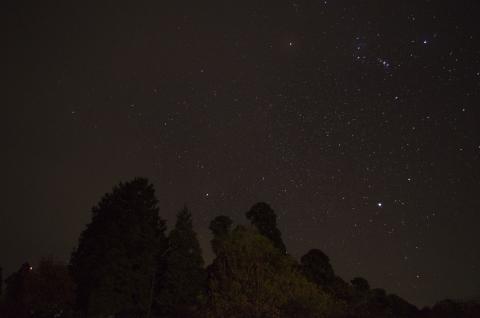 清和高原の写真です - 1