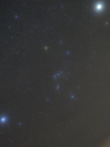 ほしぞら合宿 オリオン座の写真