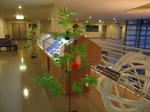 七夕のかざりつけ-2