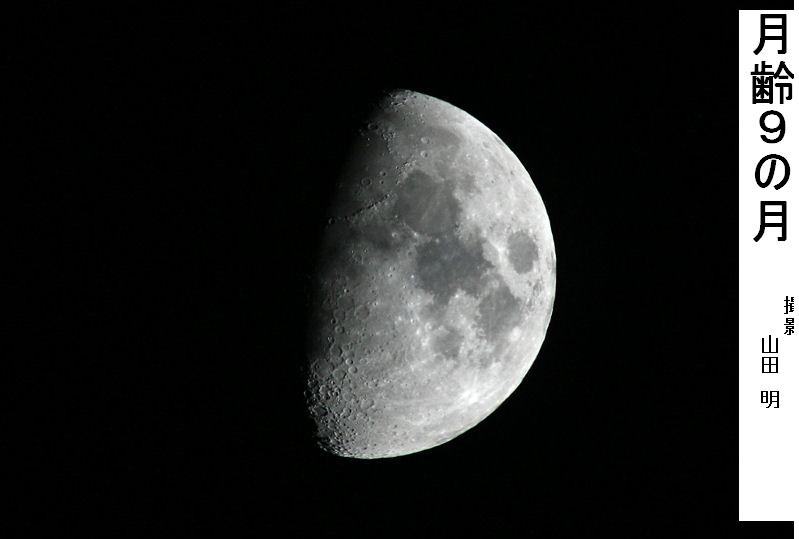 月齢９の月